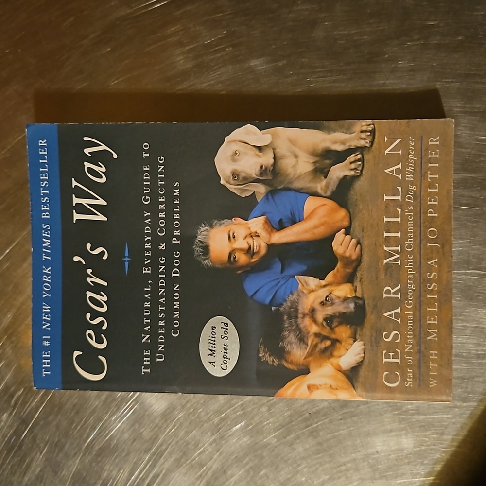 Paperback "Cesar's Way" Book Really Good Condition